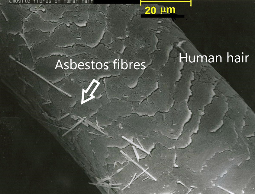 why asbestos dangerous - Asbestos